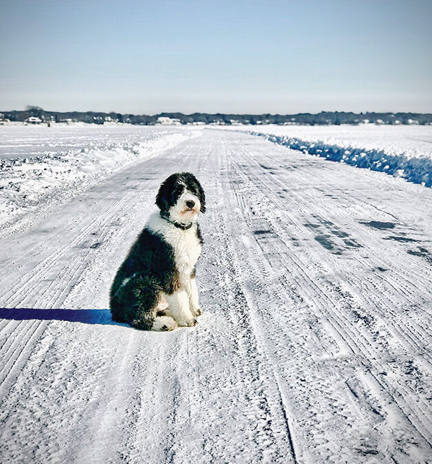 Lens on the Lake: Ice Road Fluffer