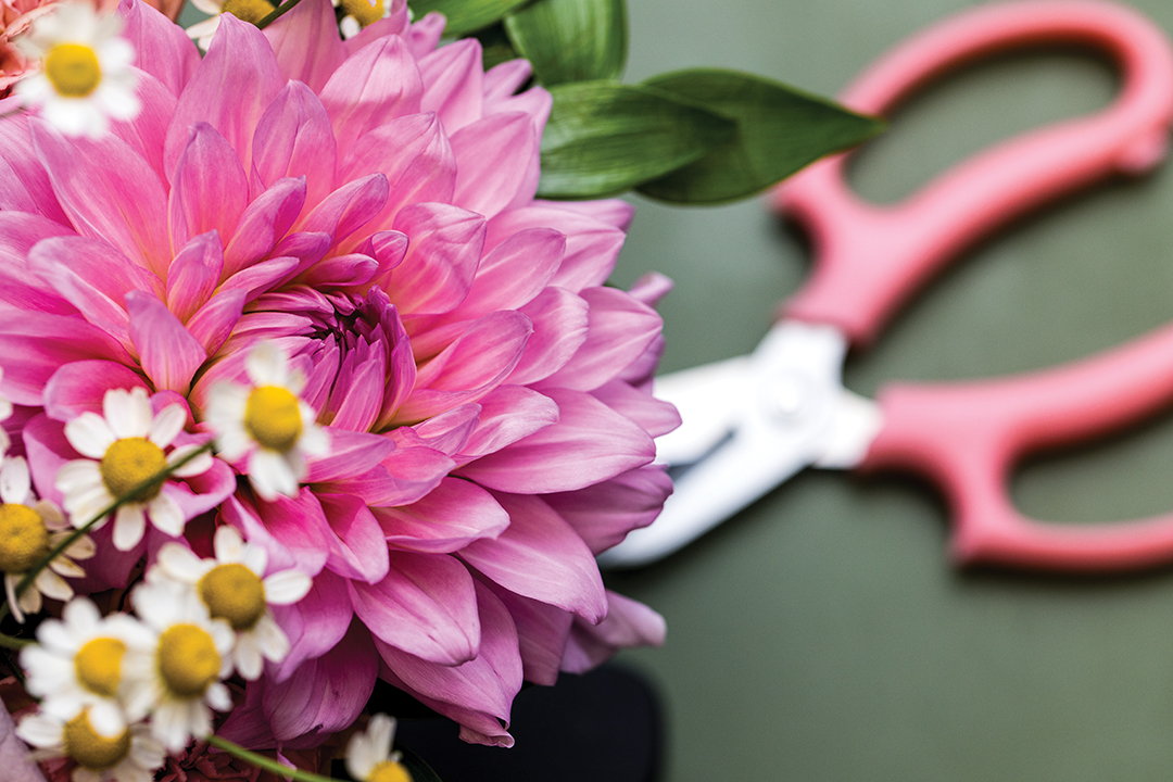 Dahlias are a favorite focal flower of these local growers. For beginners, the Queeny Series of zinnias is an easy alternative.