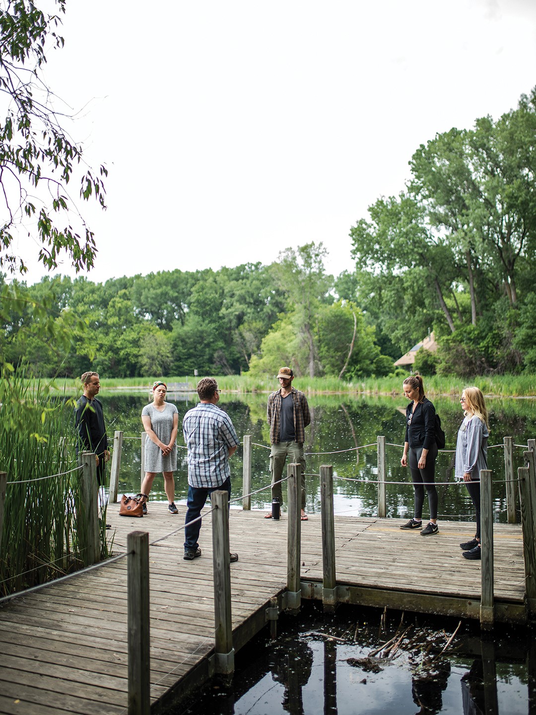 Forest bathing is a low impact way to explore the natural world, with the added potential benefit of improved mood and focus and reduced stress and blood pressure.