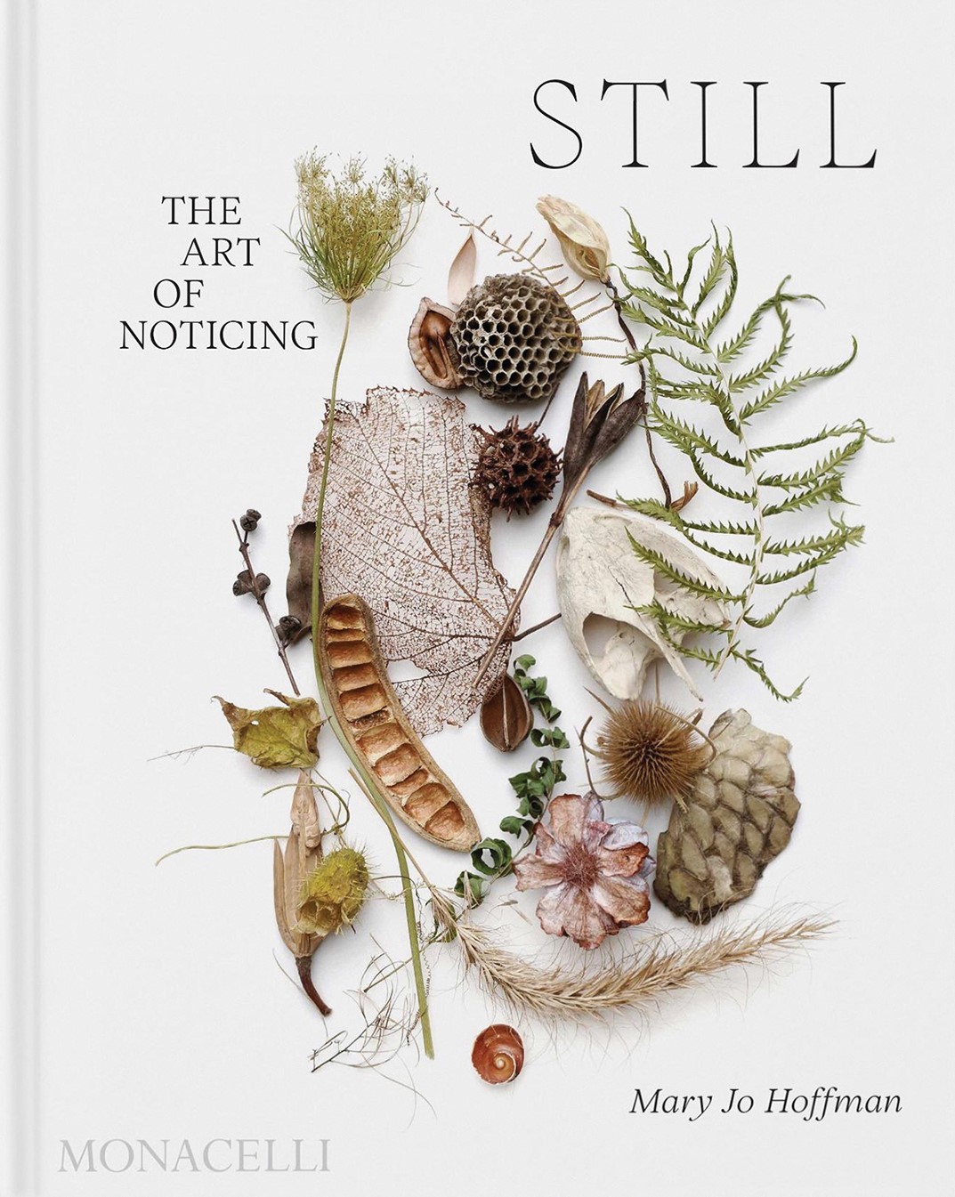 Still: The Art of Noticing Book Cover