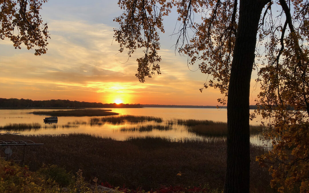 Lens on the Lake 2025 Winners