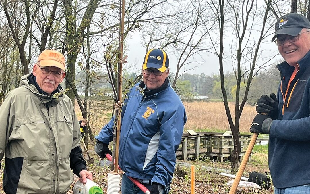 Jingle Bear Online Auction Is Silent but Strong