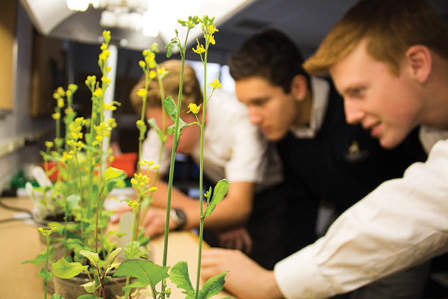 Liberty Classical Academy Keeps the Focus on Human Interaction