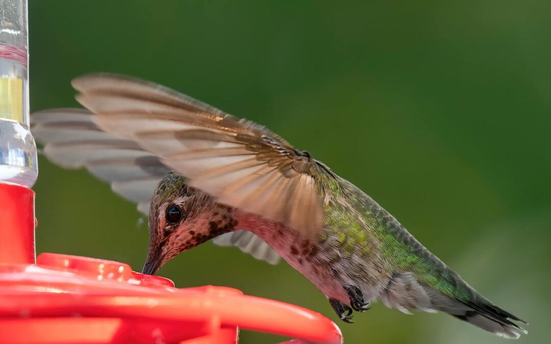 Goodthings Shares Gift Ideas for the Mothers In Your Life