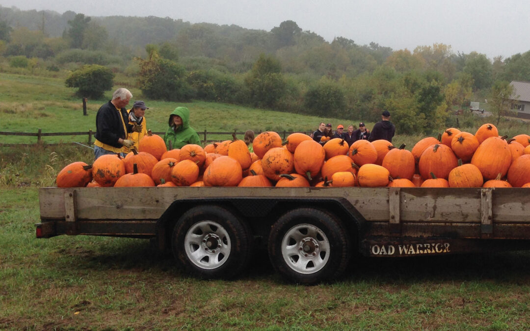 Punkinmania Brings Fun and Tradition to Willernie