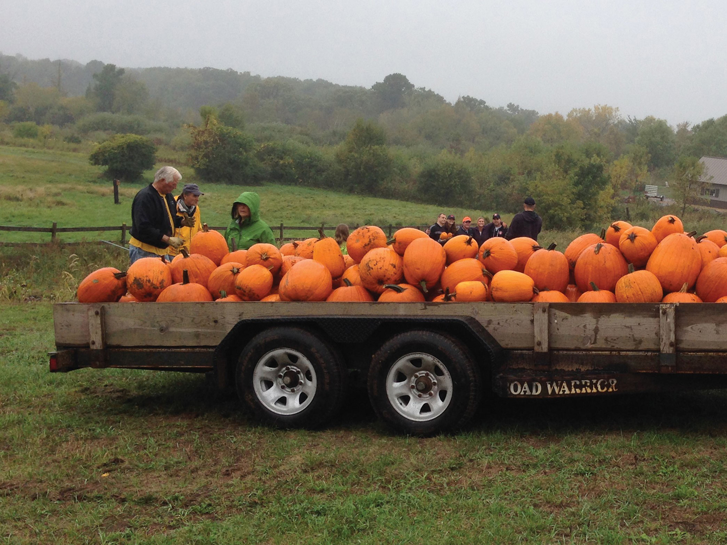 Trailer full of pumpkins