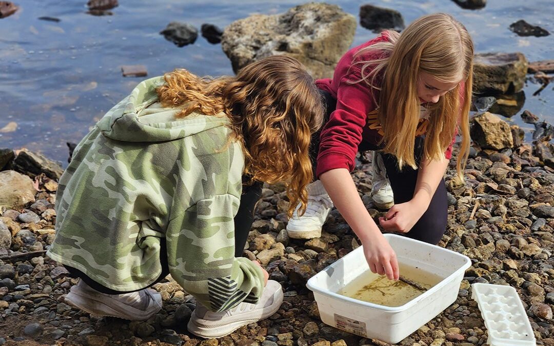 Outdoor Education at Carpenter Nature Center and Beyond