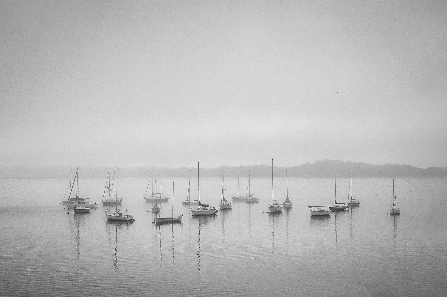 Sailboats in Fog