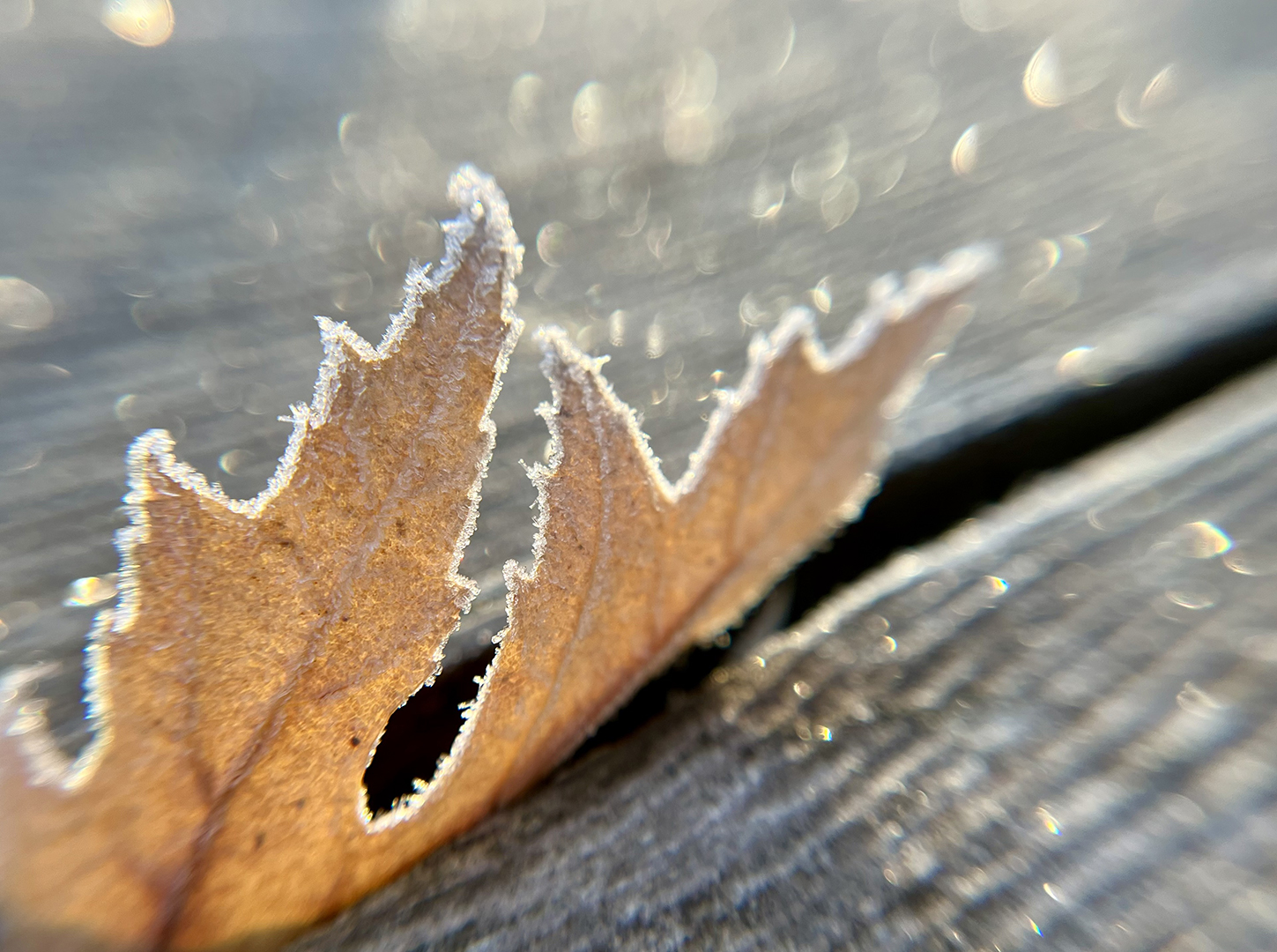 Edge of Winter