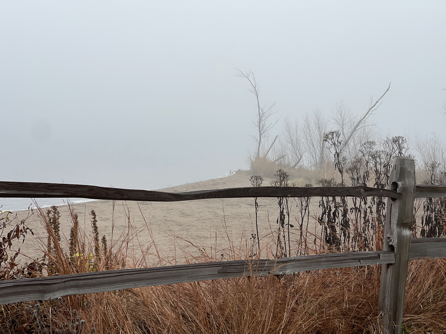 Foggy Morning, Bellaire Beach